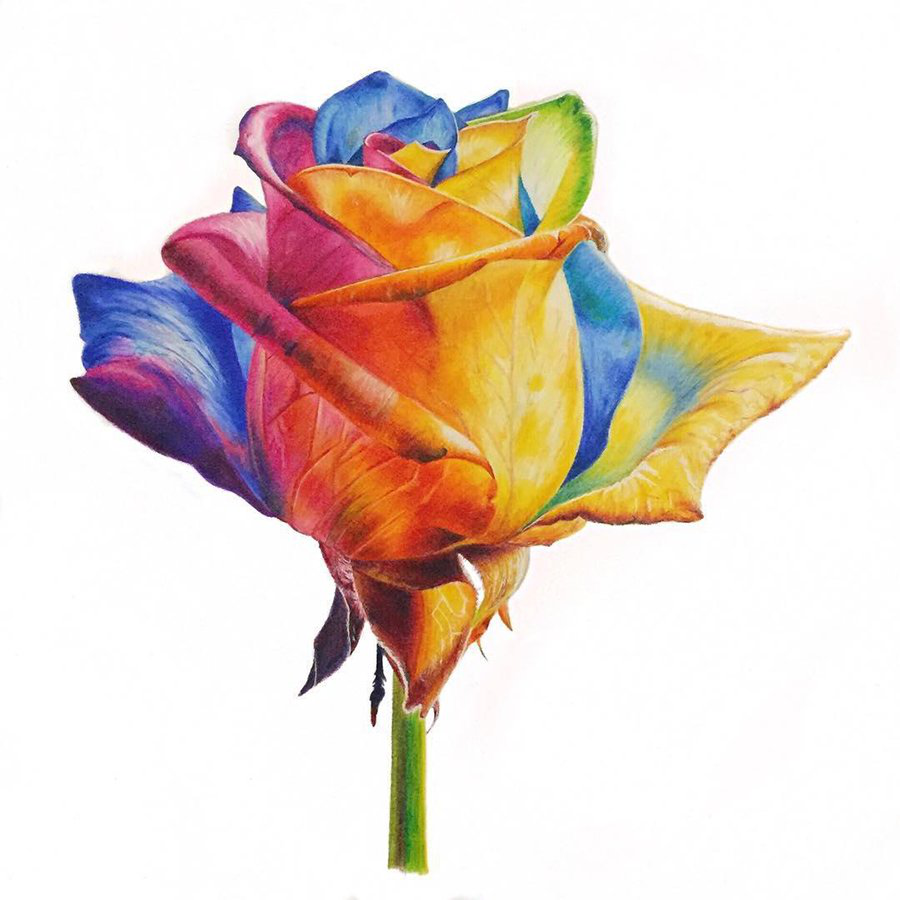colorless blender pencils prismacolor